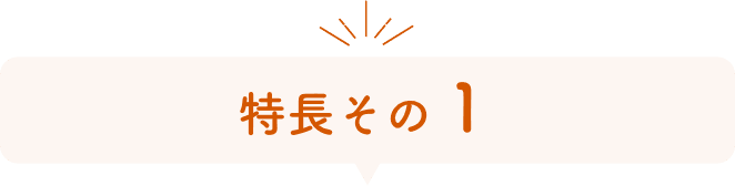 特長その1