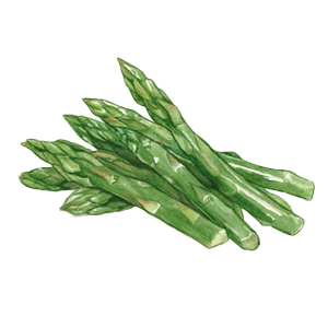 野菜類