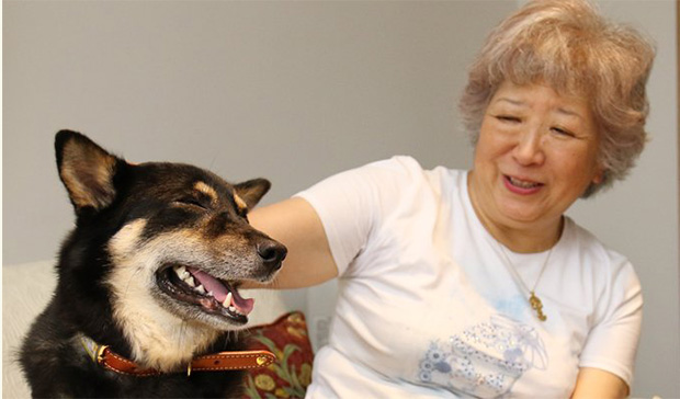 animal_譲渡された犬と新しい家族